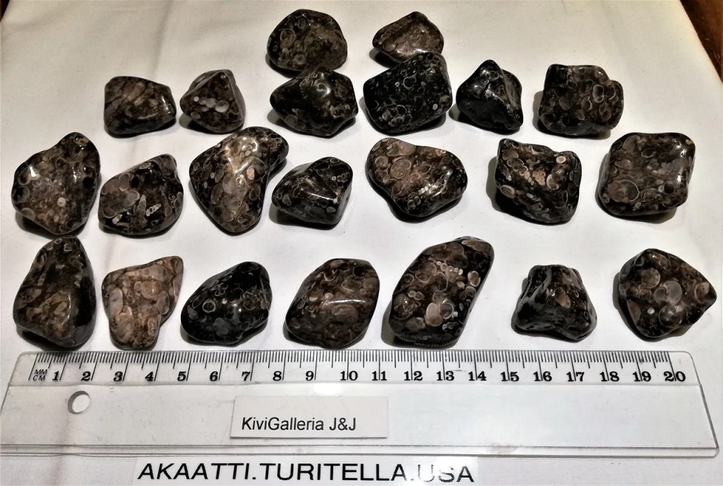 Akaatti -Turitella AQ-laatu, USA&nbsp;4,00€