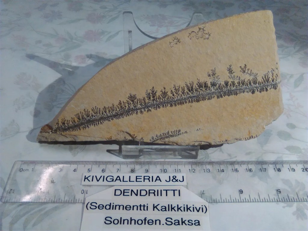 Dentriitti(Sedimentti Kalkkikivi), Solnhofen Saksa&nbsp;24,00€