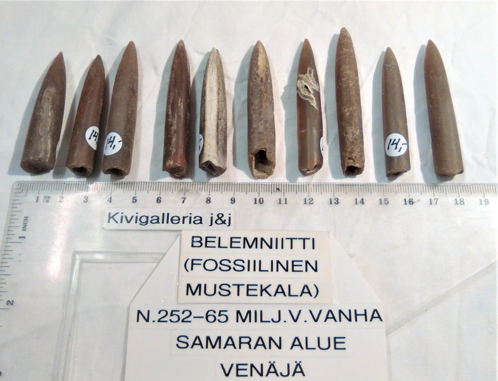 Belemniitti, Venäjä 14,00€