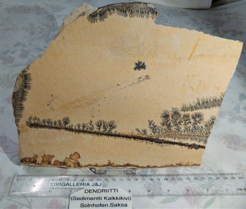 Dentriitti(Sedimentti Kalkkikivi), Solnhofen Saksa&nbsp;114,00€