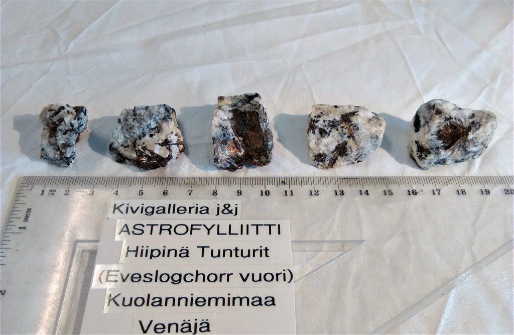 Astrofylliitti,Kuolanniemimaa Venäjä 10,00€