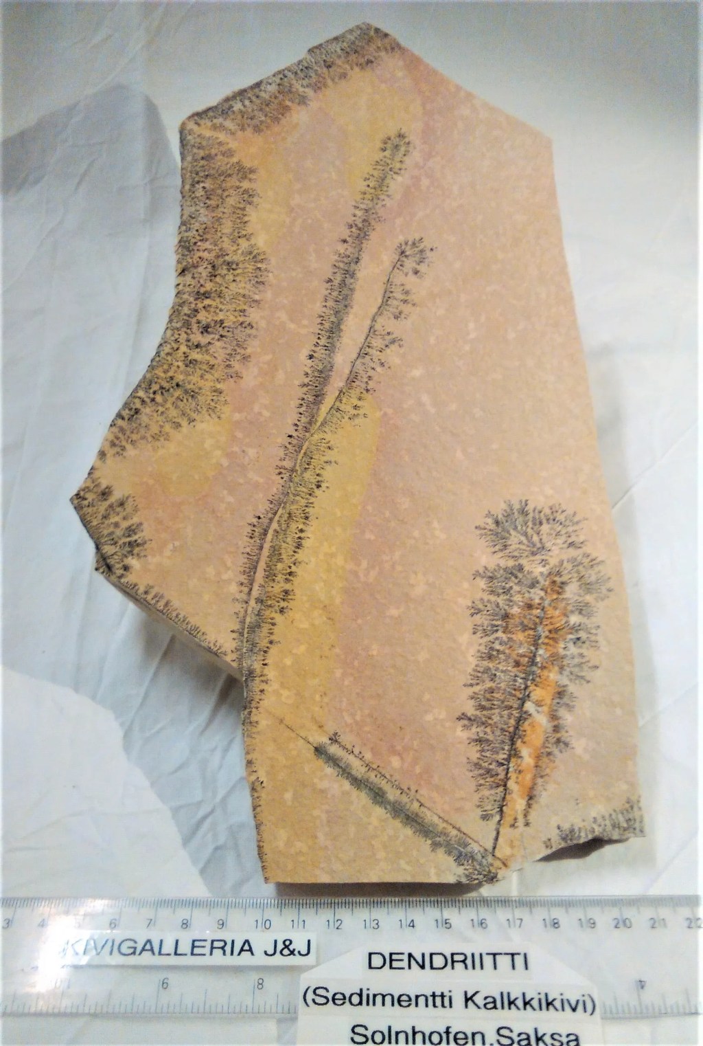 Dentriitti(Sedimentti Kalkkikivi), Solnhofen Saksa&nbsp;114,00€