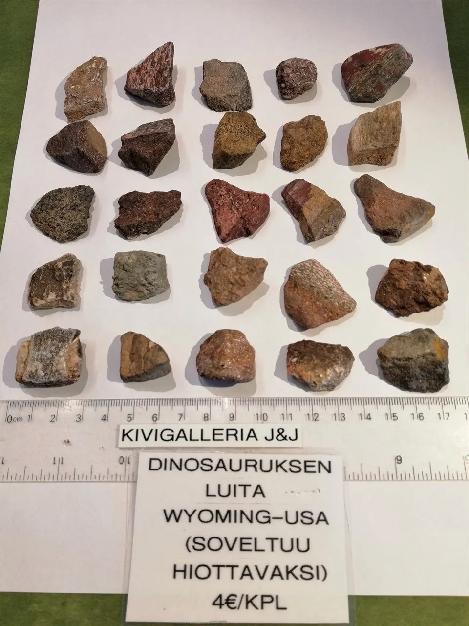 Dinosauruksen luita, Wyoming USA&nbsp;4,00€