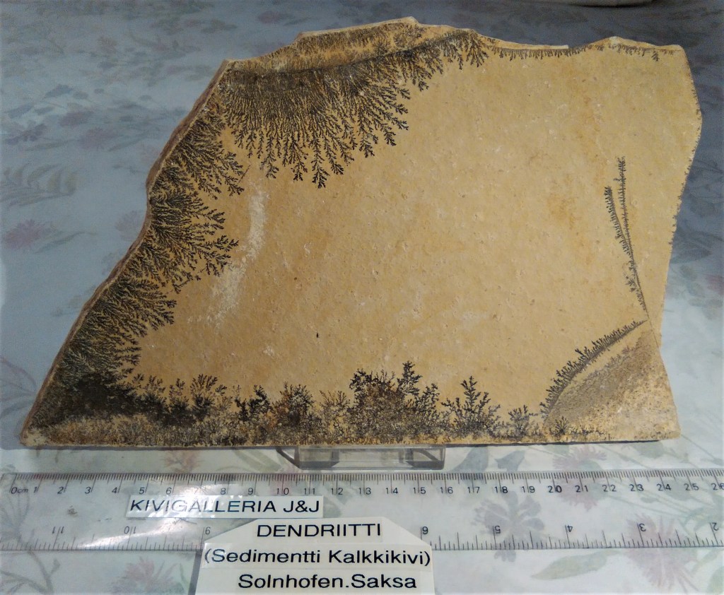 Dentriitti(Sedimentti Kalkkikivi), Solnhofen Saksa&nbsp;78,00€