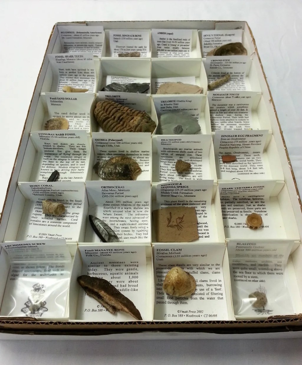 Fossiilikokoelma no.3, Arizona USA&nbsp;194,00€