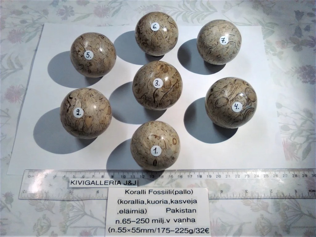 Fossiilipallot, Pakistan 32,00€