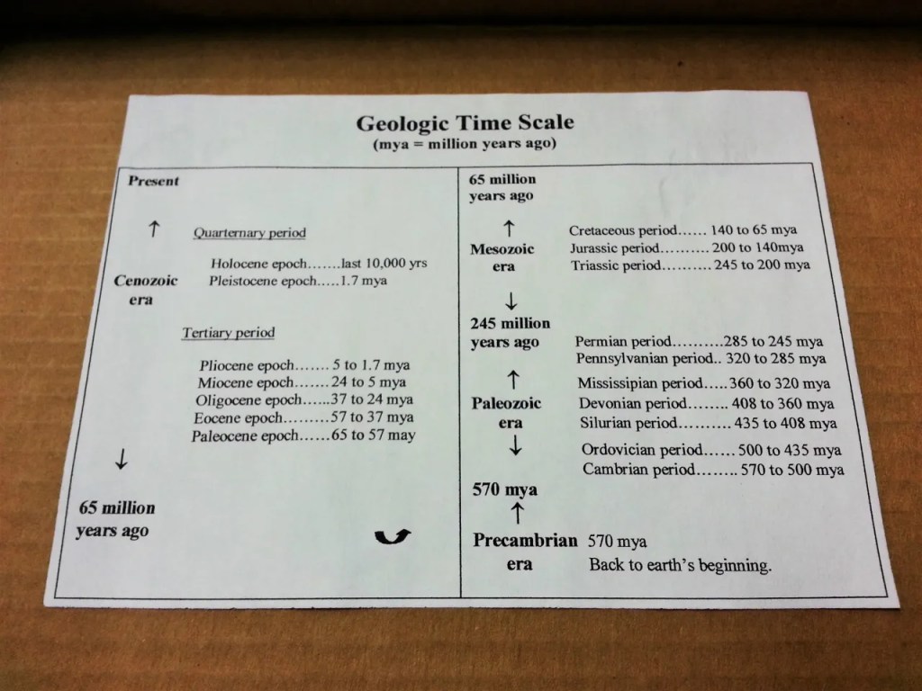 Fossiilikokoelman aikajanataulukko 0,00€