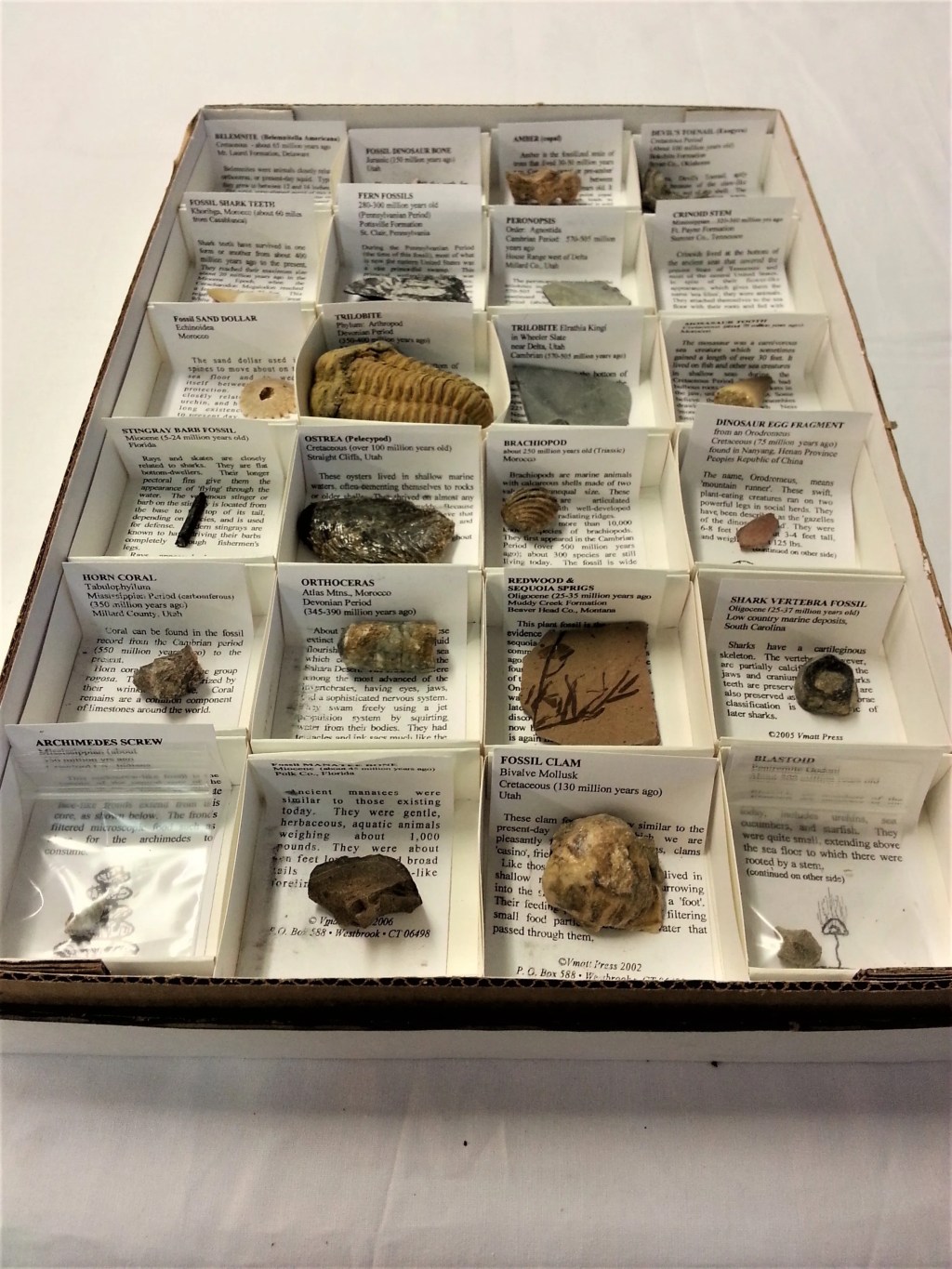 Fossiilikokoelma no.4, Arizona USA&nbsp;194,00€