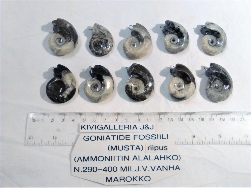 Goniatideriipus, Marokko 15,00€