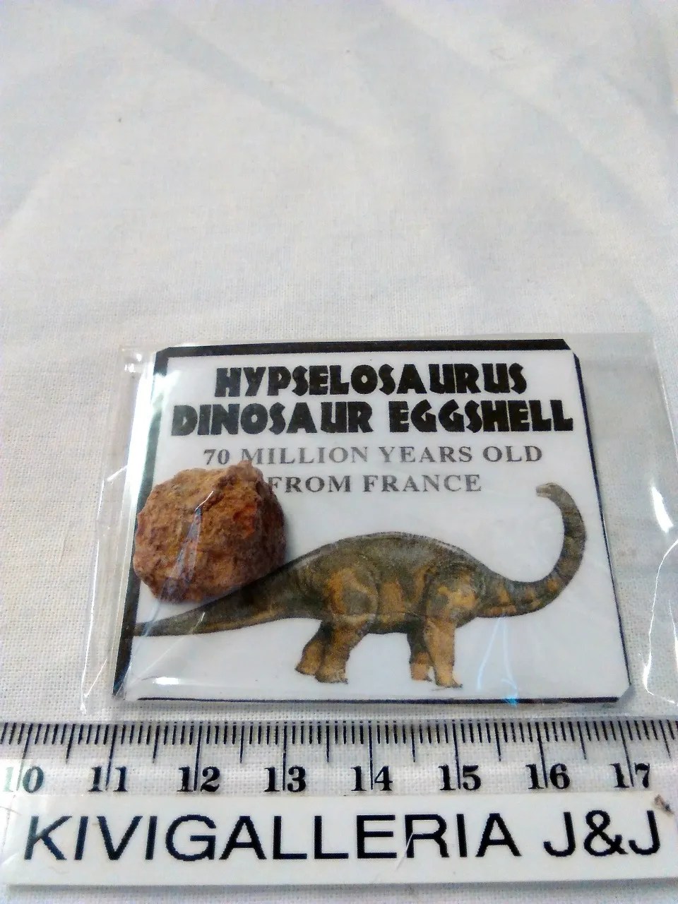 Hypselosaurus -munankuori fossiili, Ranska&nbsp;18,00€