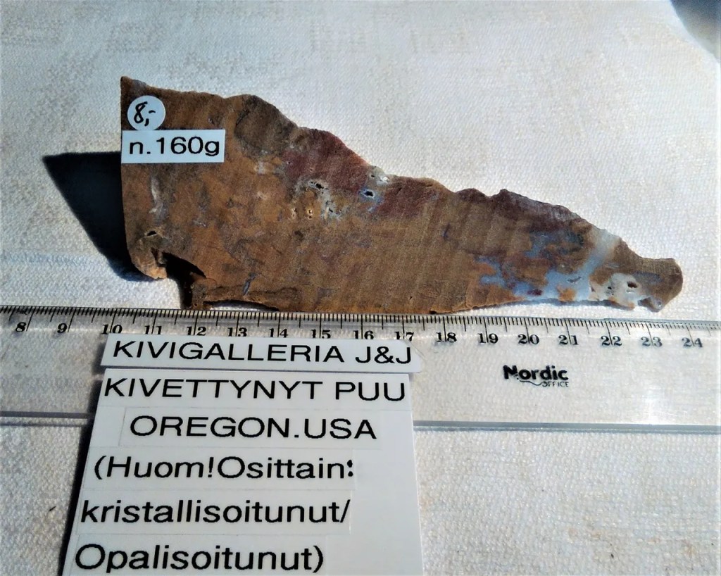 Kivettynyt puu, Oregon USA&nbsp;8,00€