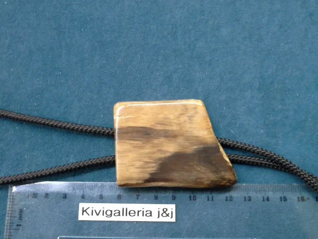 Kivettynyt puu -Bola, Oregon USA&nbsp;35,00€