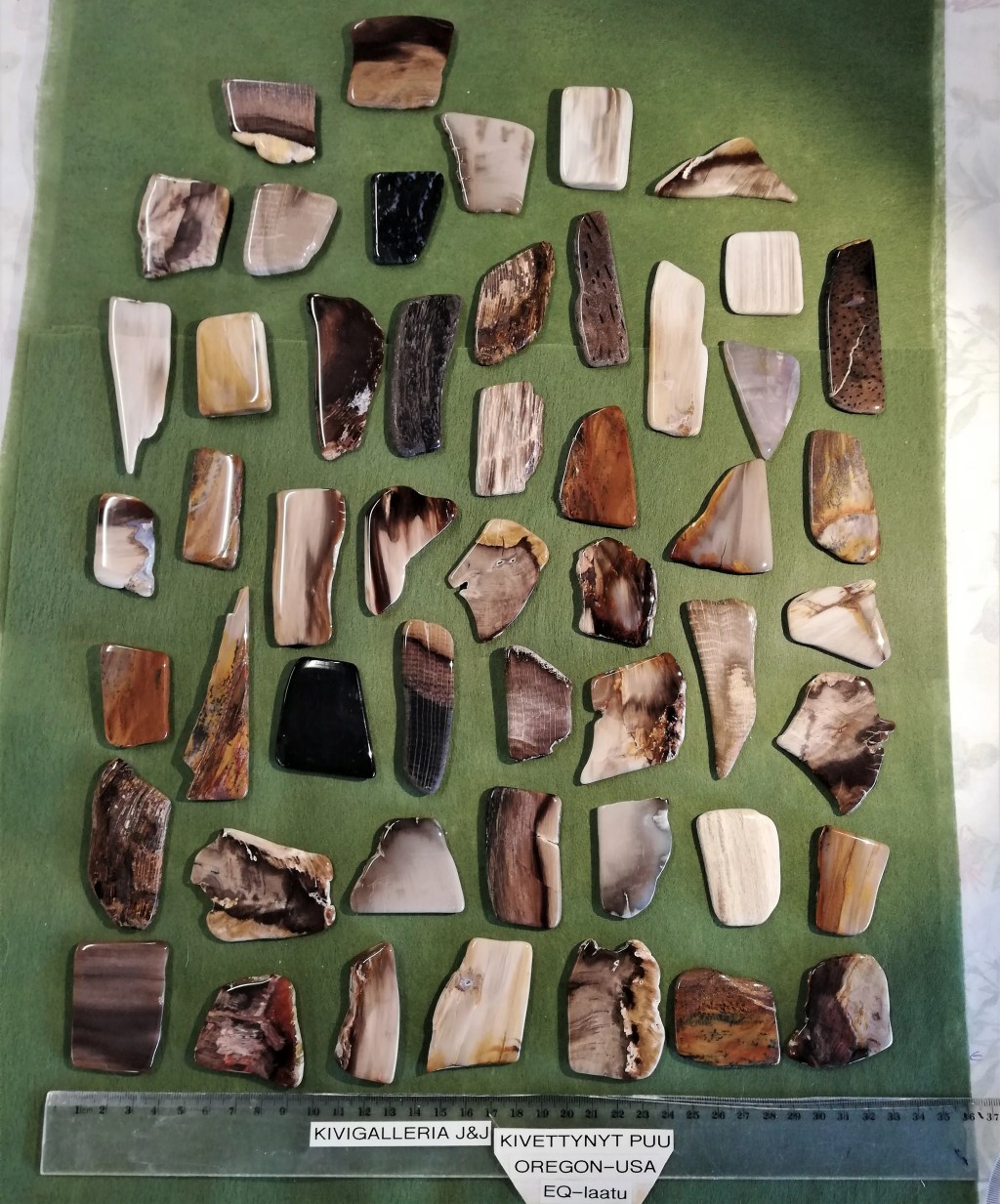 Kivettynyt puu EQ-laatu, Oregon USA&nbsp;5,00€