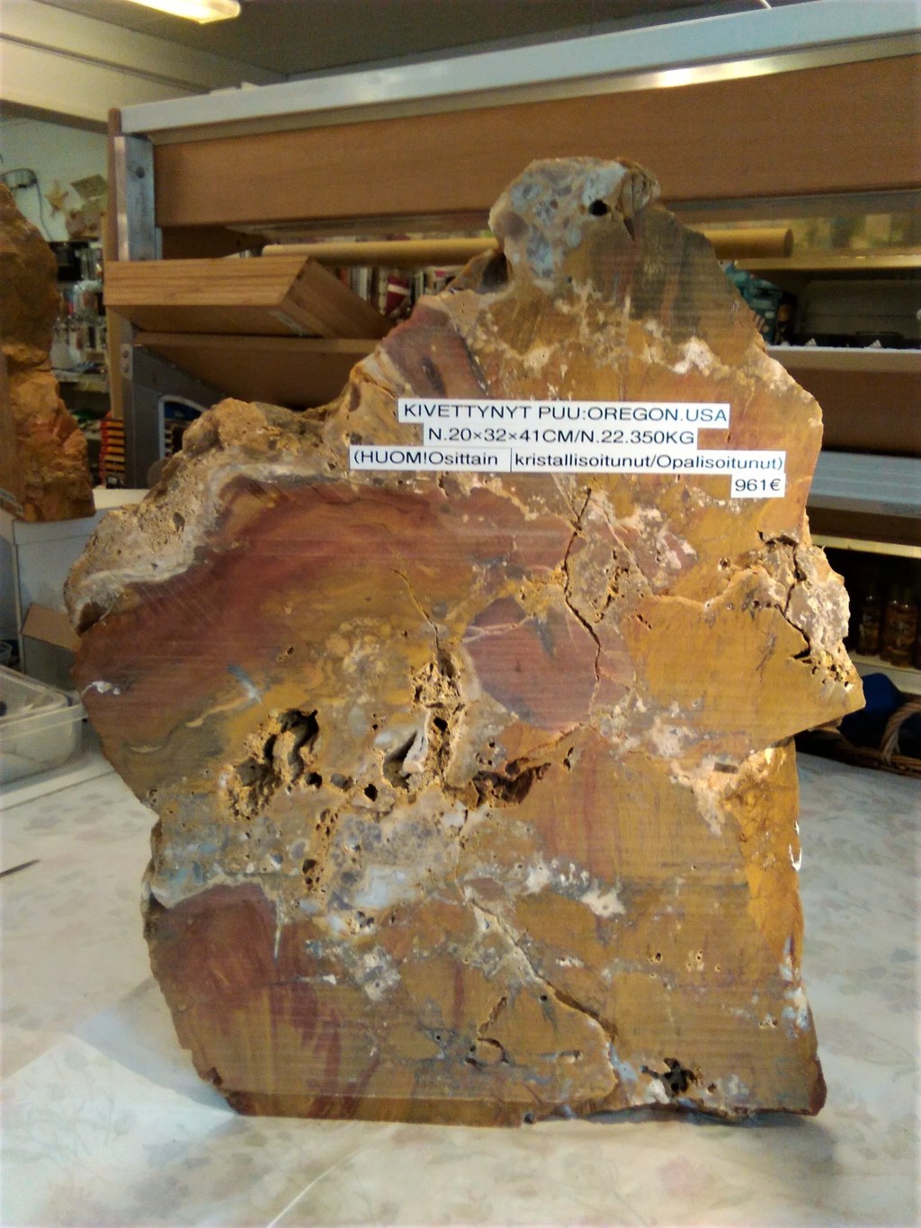 Kivettynyt puu, Oregon USA&nbsp;961,00€