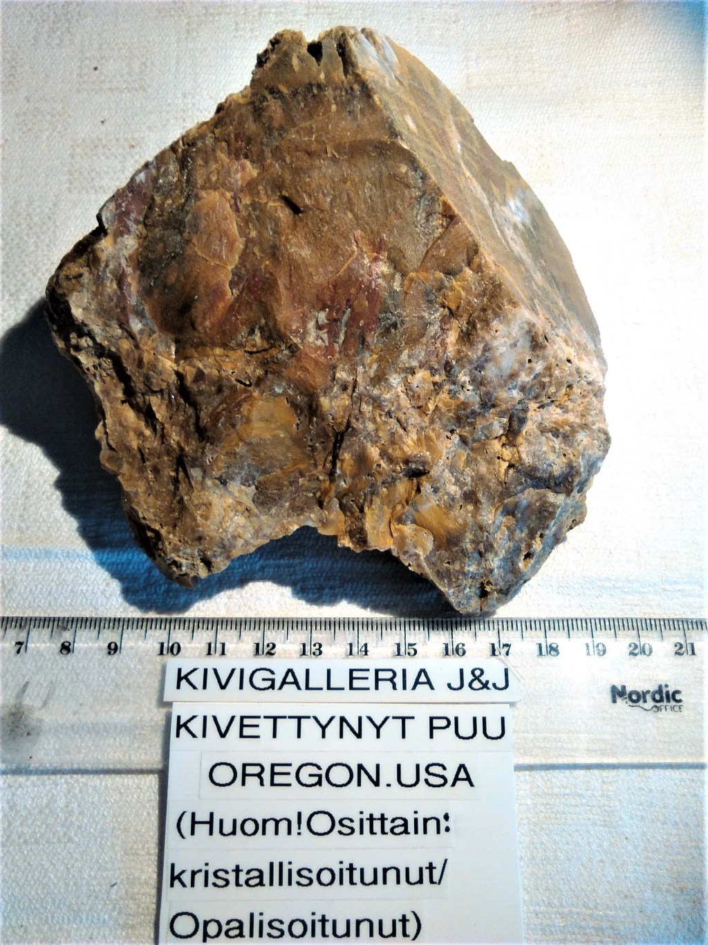 Kivettynyt puu, Oregon USA&nbsp;32,00€