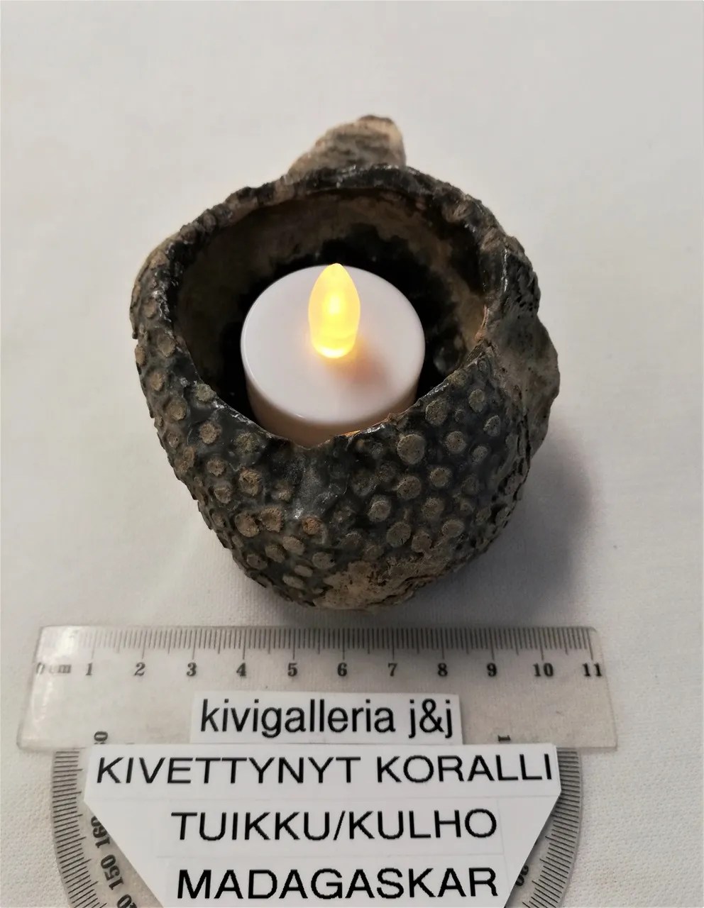 Korallifossiili tuikku/kulho, Madagaskar&nbsp;30,00€