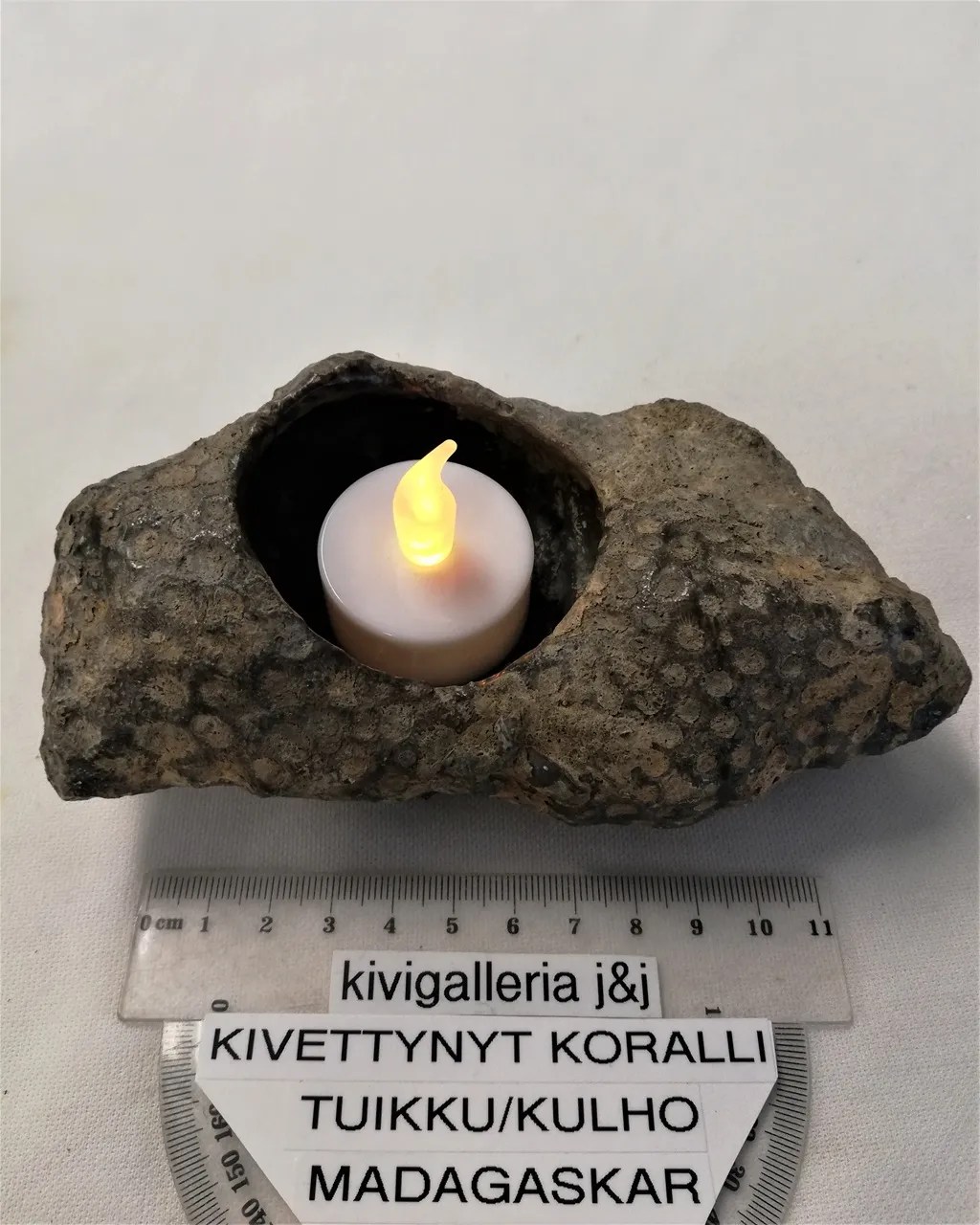 Korallifossiili tuikku/kulho, Madagaskar&nbsp;43,00€