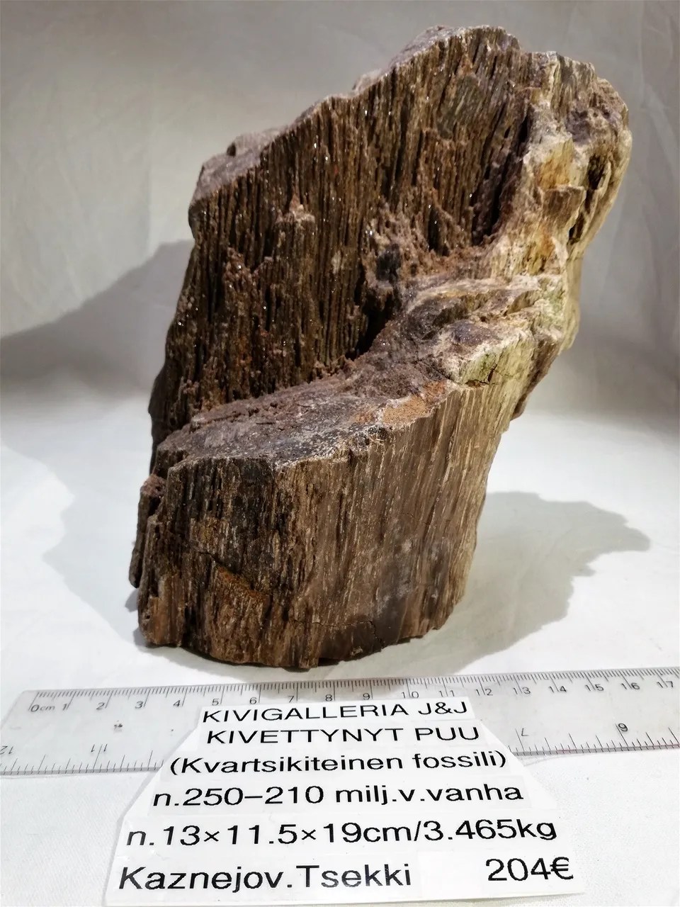 Kivettynyt puu, Kaznejov Tsekki&nbsp;204,00€