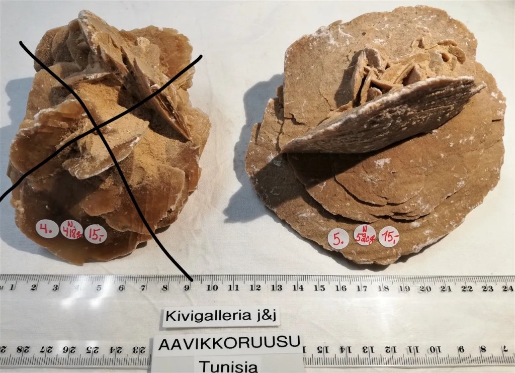 Kahvipuun juurakko+lasimaljat, Indonesia&nbsp;445,00€