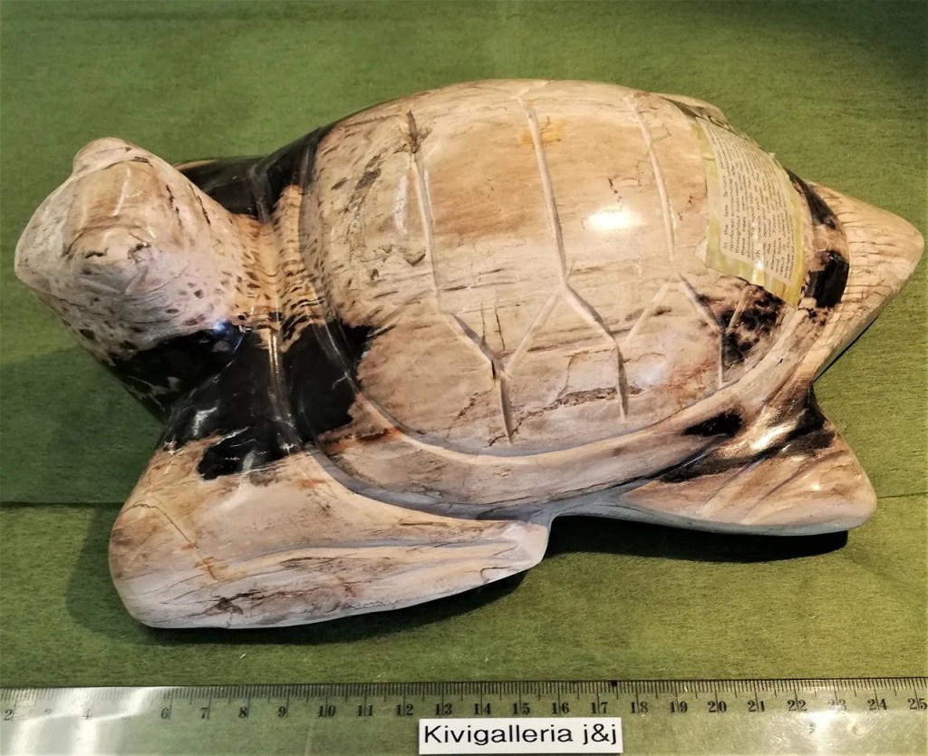 Kivettynyt Siipipuu -Kilpikonna, Indonesia&nbsp;159,00€