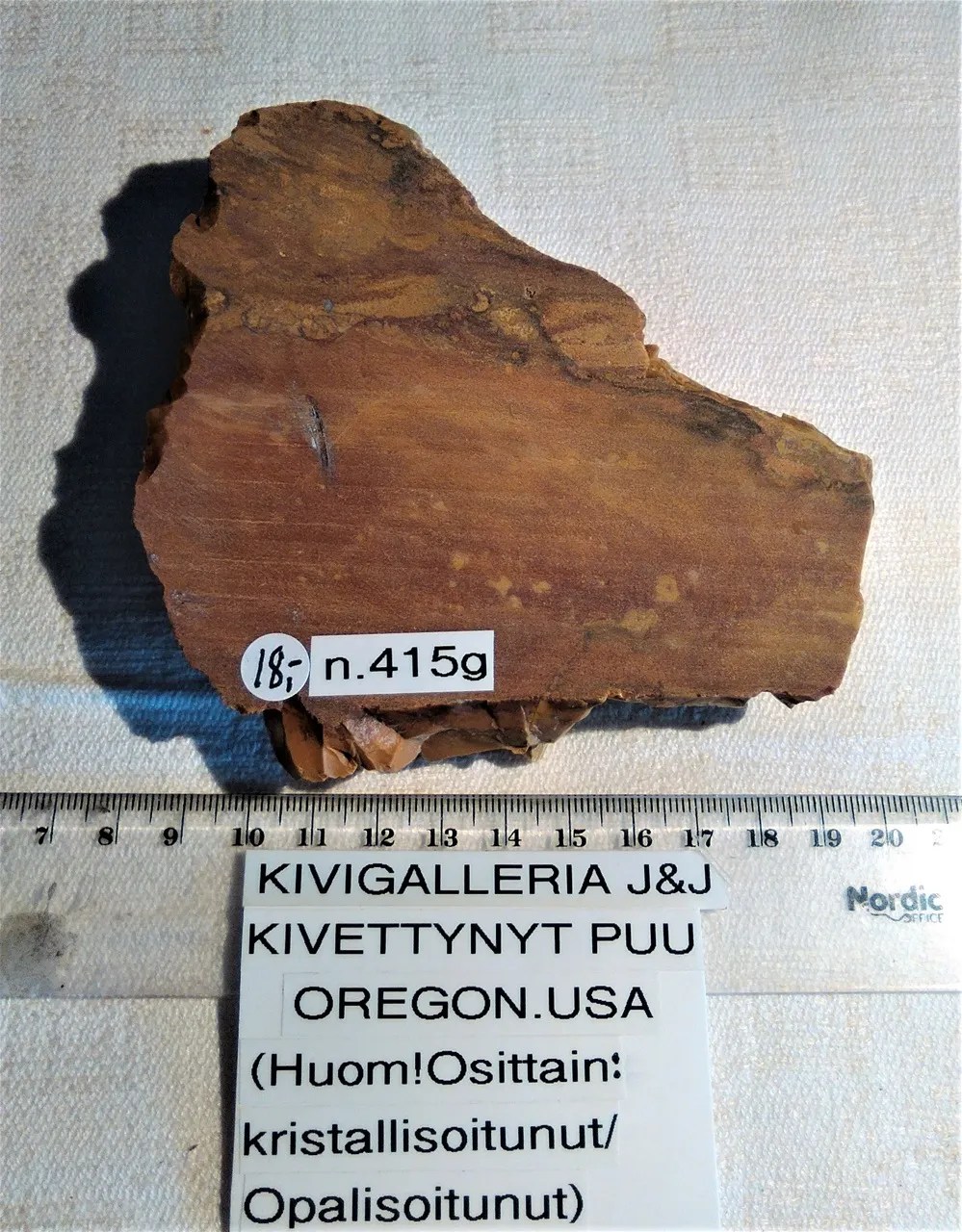 Kivettynyt puu, Oregon USA&nbsp;18,00€