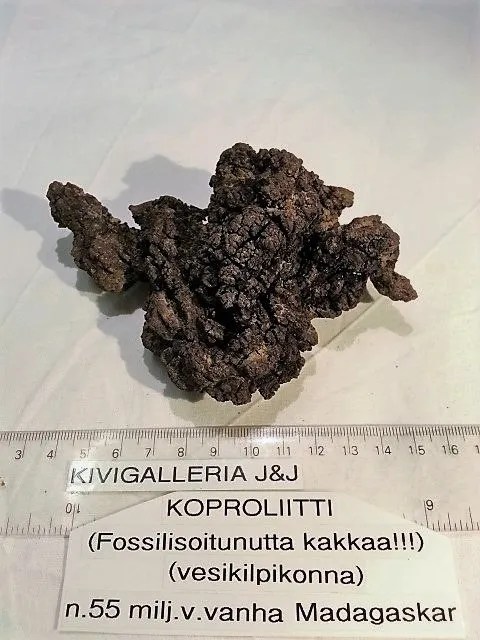 Koproliitti, Madagaskar 38,00€