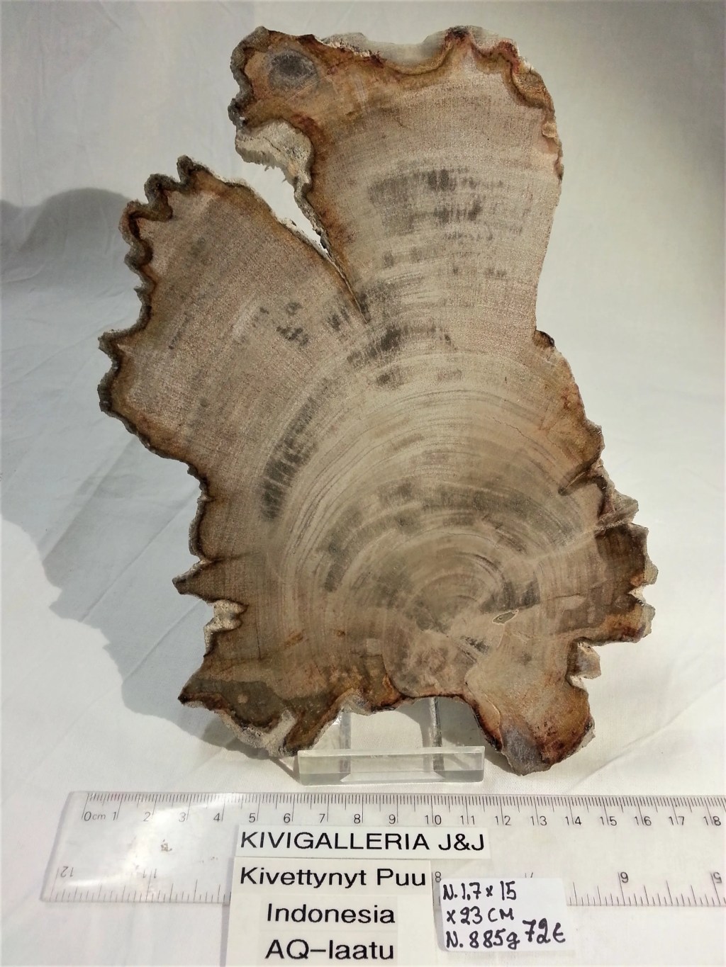 Kivettynyt puu AQ-laatu, Indonesia&nbsp;72,00€